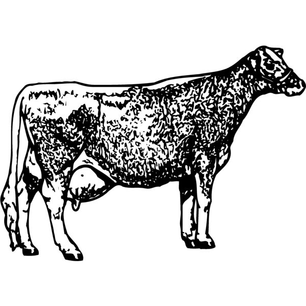 COW034 Thumbnail