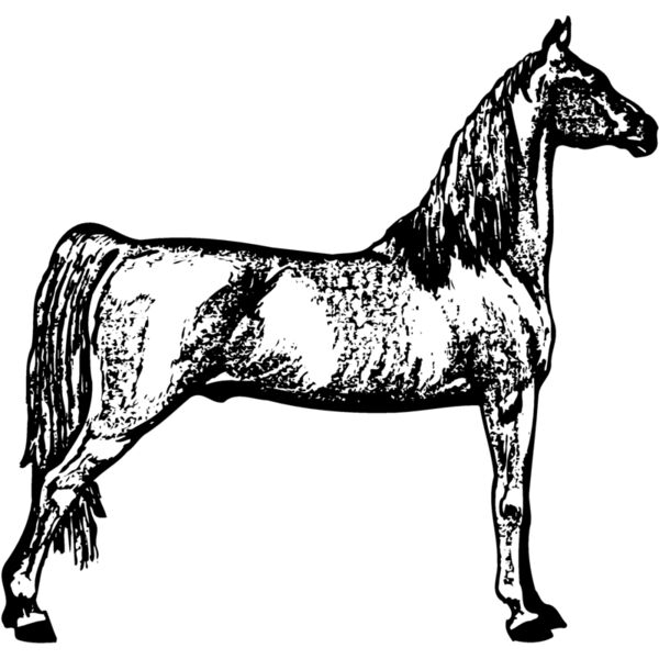 HORSE023 Thumbnail