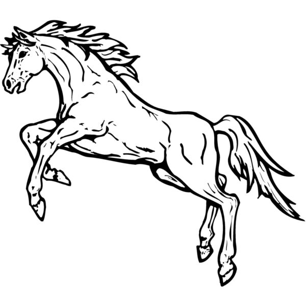 HORSE037 Thumbnail