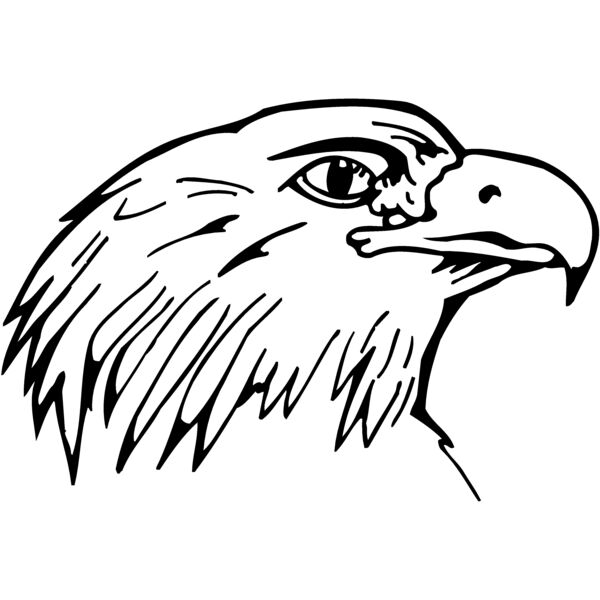 EAGLE014 Thumbnail