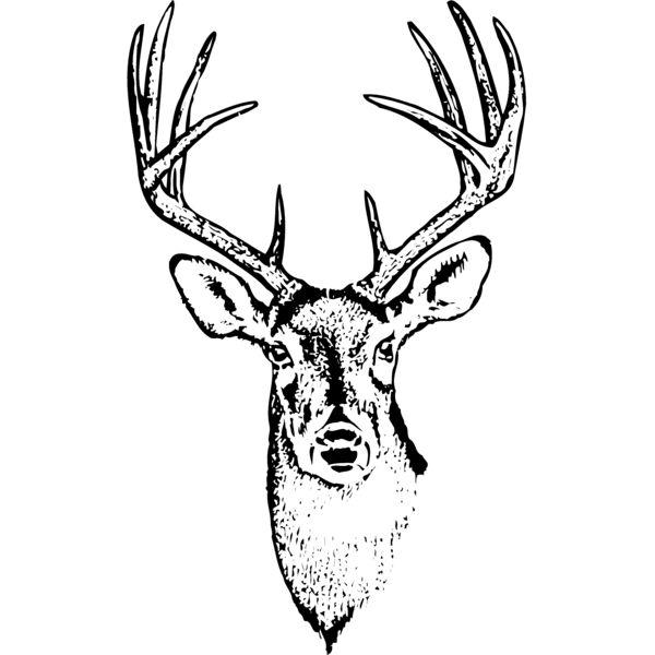DEER010 Thumbnail
