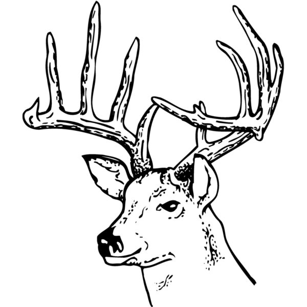 DEER014 Thumbnail