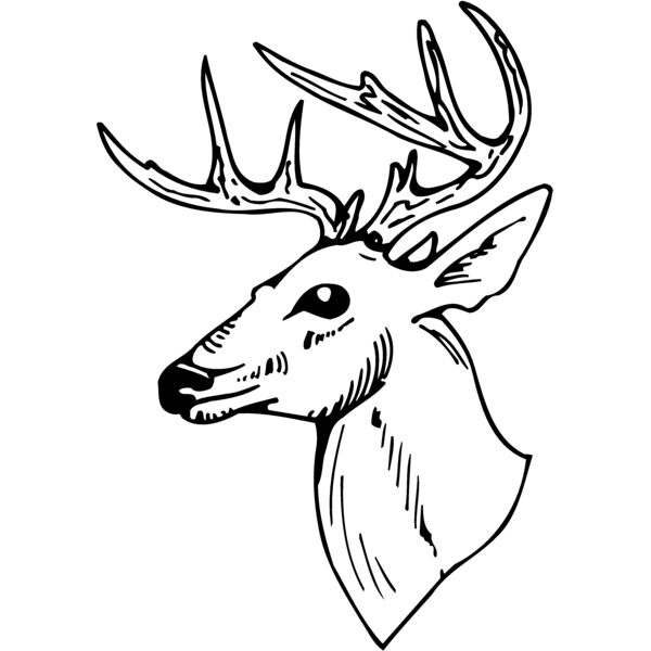 DEER018 Thumbnail