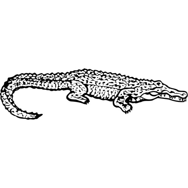 GATOR02 Thumbnail