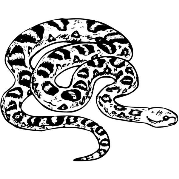 SNAKE001 Thumbnail
