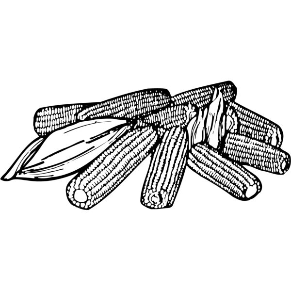 GRAIN005 Thumbnail