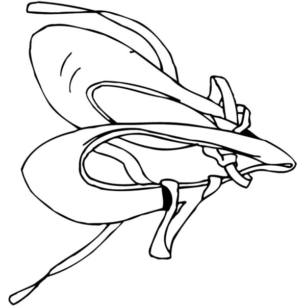 SHOE07 Thumbnail