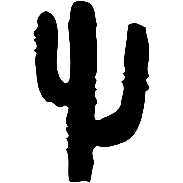 CACTUS16 Thumbnail