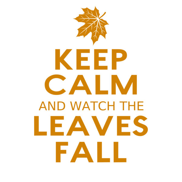 Fall Season 04 Thumbnail