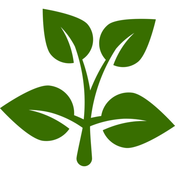 15 Leaves Thumbnail