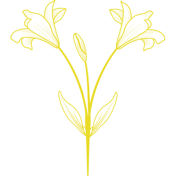 Flowers 9 Thumbnail