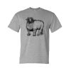 Unisex DryBlend® T-Shirt Thumbnail