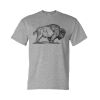 Unisex DryBlend® T-Shirt Thumbnail