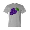 Unisex DryBlend® T-Shirt Thumbnail